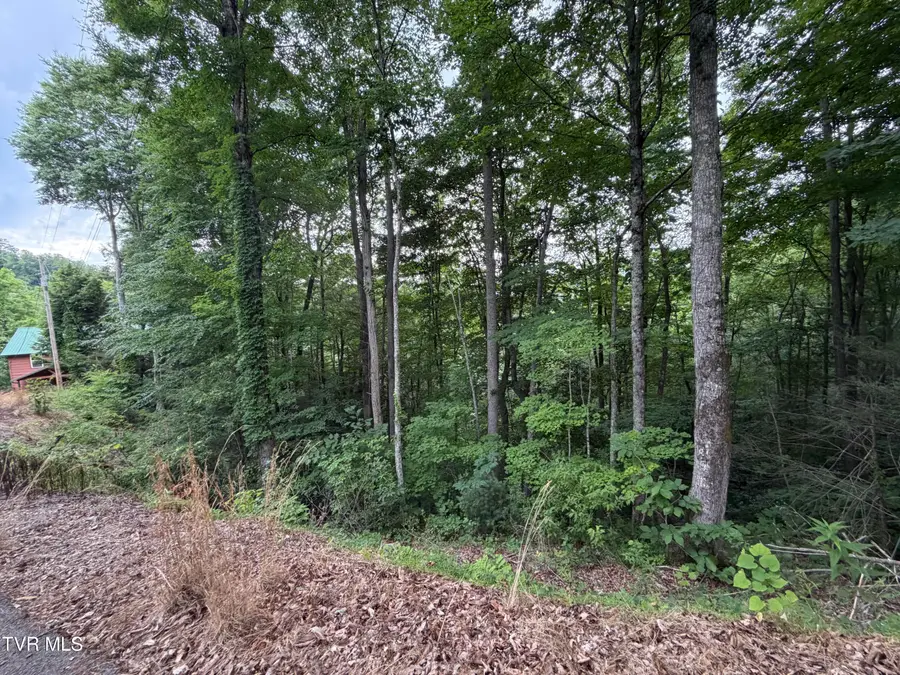 Tbd High Top Loop, Sevierville, TN 37862 - #2