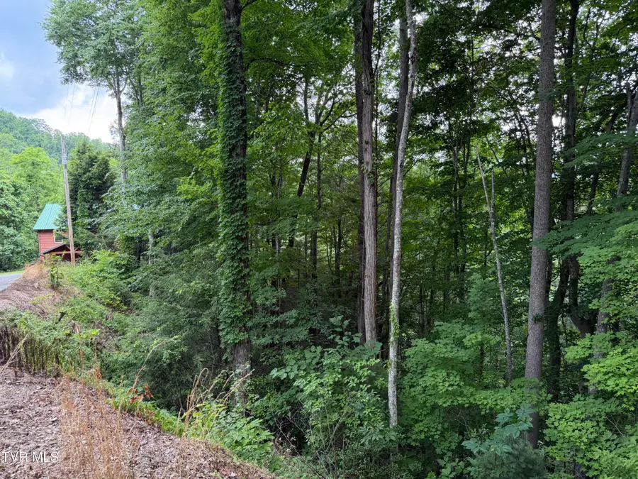 Tbd High Top Loop, Sevierville, TN 37862 - #3