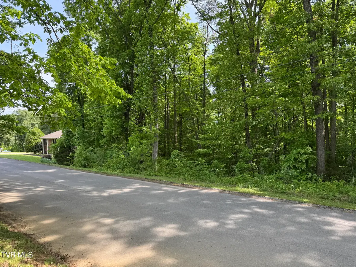 Lot 5 Parrish Drive, Greeneville, TN 37743 - #1
