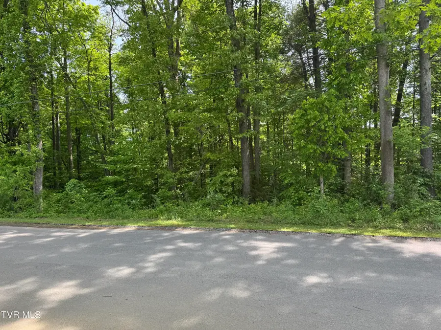 Lot 5 Parrish Drive, Greeneville, TN 37743 - #2