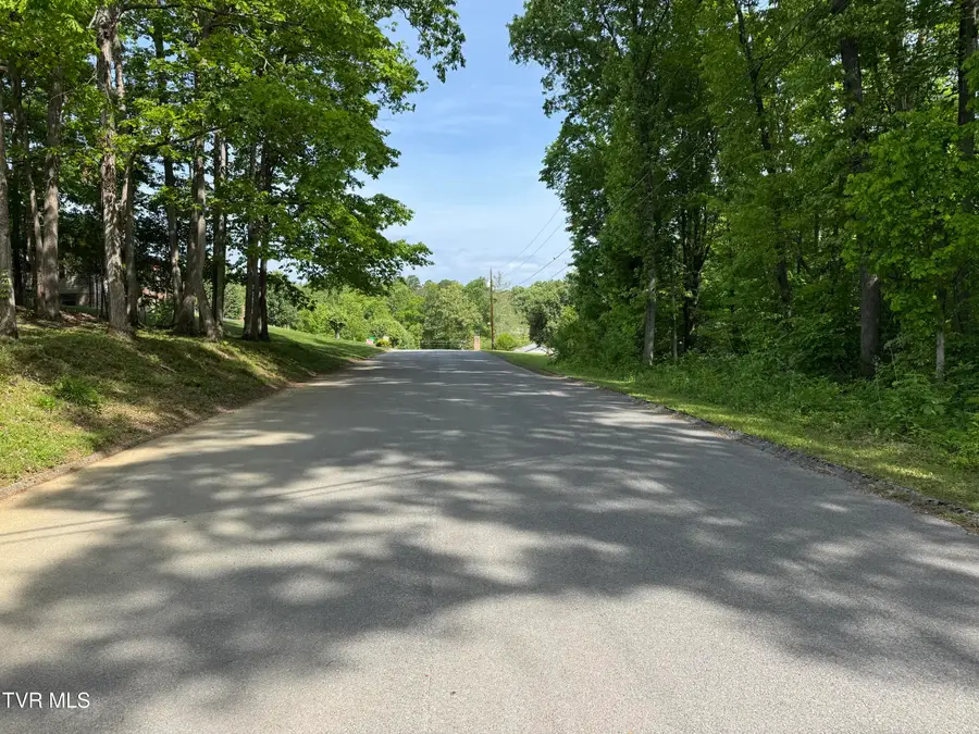 Lot 5 Parrish Drive, Greeneville, TN 37743 - #3