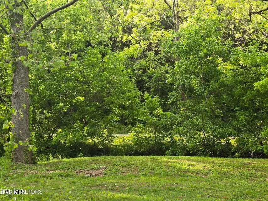 2615 Stoney Fork Road, Sneedville, TN 37869 - #3