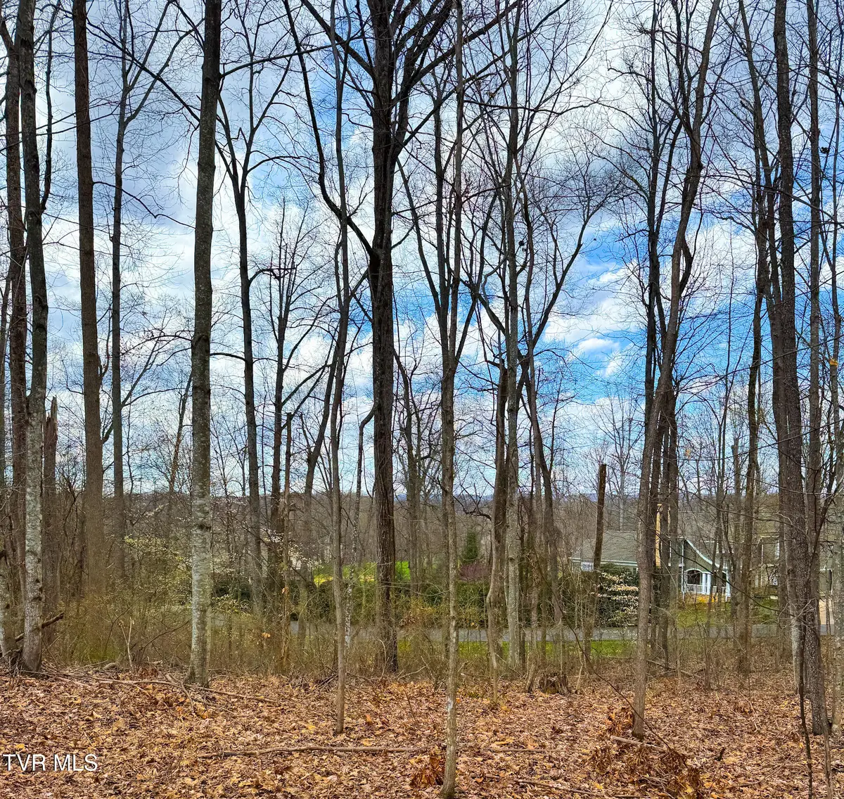 Lot 22 Stonewall Ridge, Bristol, VA 24202 - #1