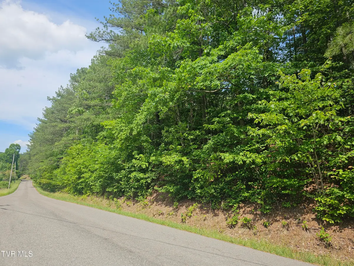 Tbd Old Hurricane Road, Wise, VA 24293 - #1