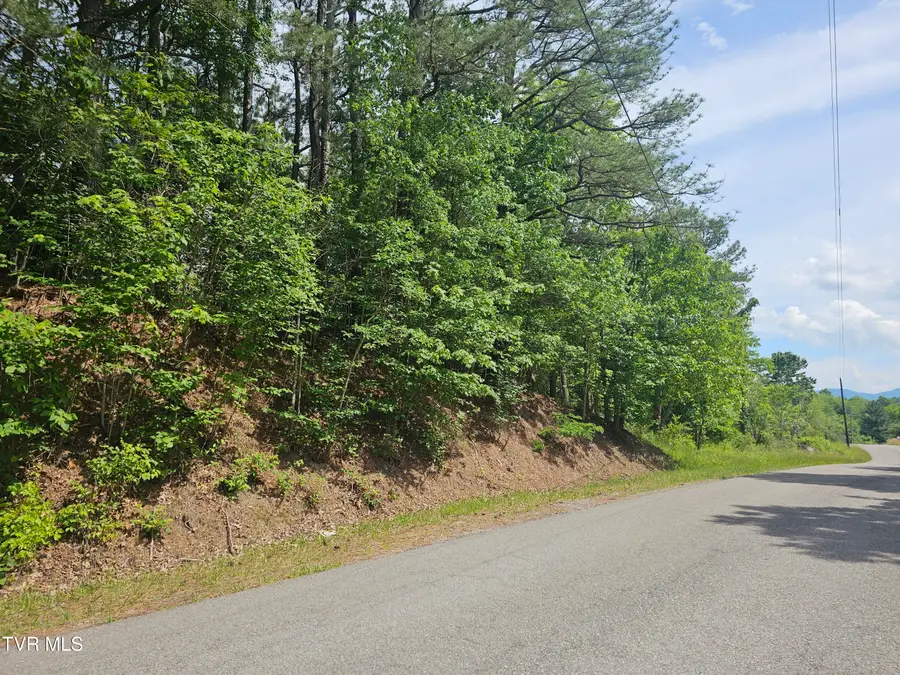 Tbd Old Hurricane Road, Wise, VA 24293 - #2