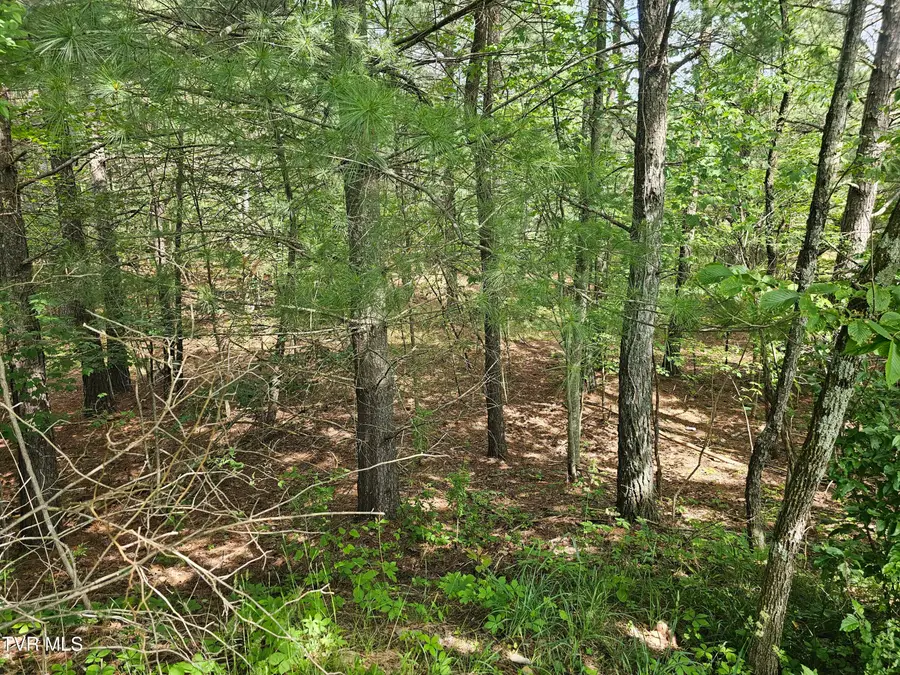 Tbd Old Hurricane Road, Wise, VA 24293 - #3