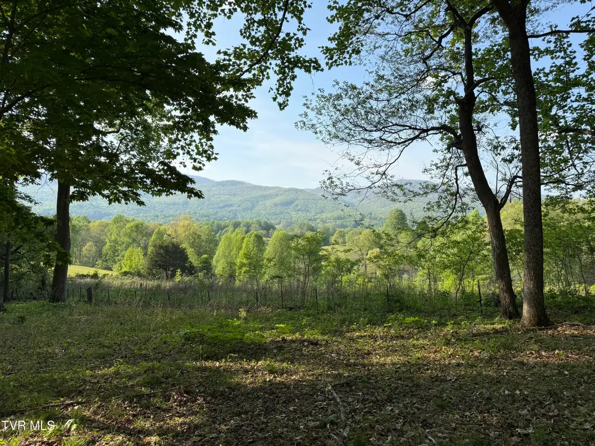 Tbd Bobs Hollow Road #Lot 4, Elizabethton, TN 37643 - #1