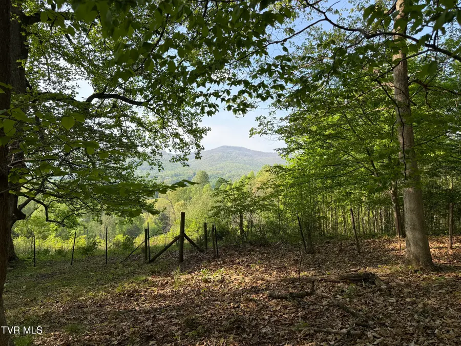 Tbd Bobs Hollow Road #Lot 4, Elizabethton, TN 37643 - #2