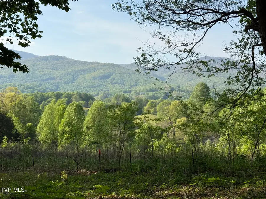 Tbd Bobs Hollow Road #Lot 4, Elizabethton, TN 37643 - #3