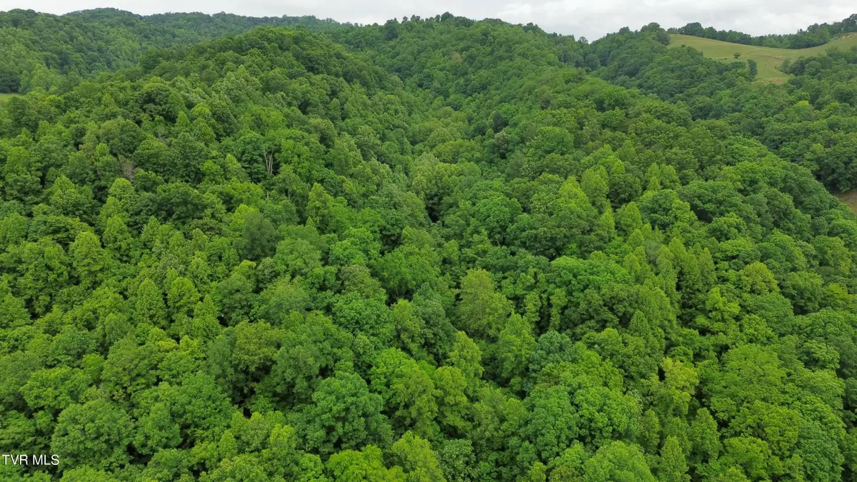 Tbd Boozy Creek Road, Bristol, VA 24202 - #1