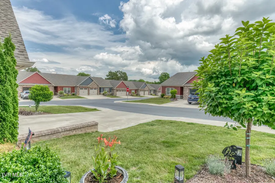 207 Hacker Martin Drive, Gray, TN 37615 - #3