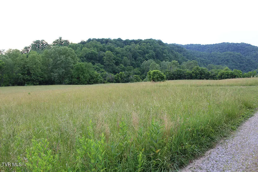 00 Key Hole Road Road, Fort Blackmore, VA 24224 - #1