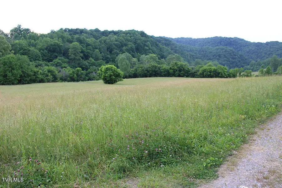 00 Key Hole Road Road, Fort Blackmore, VA 24224 - #3
