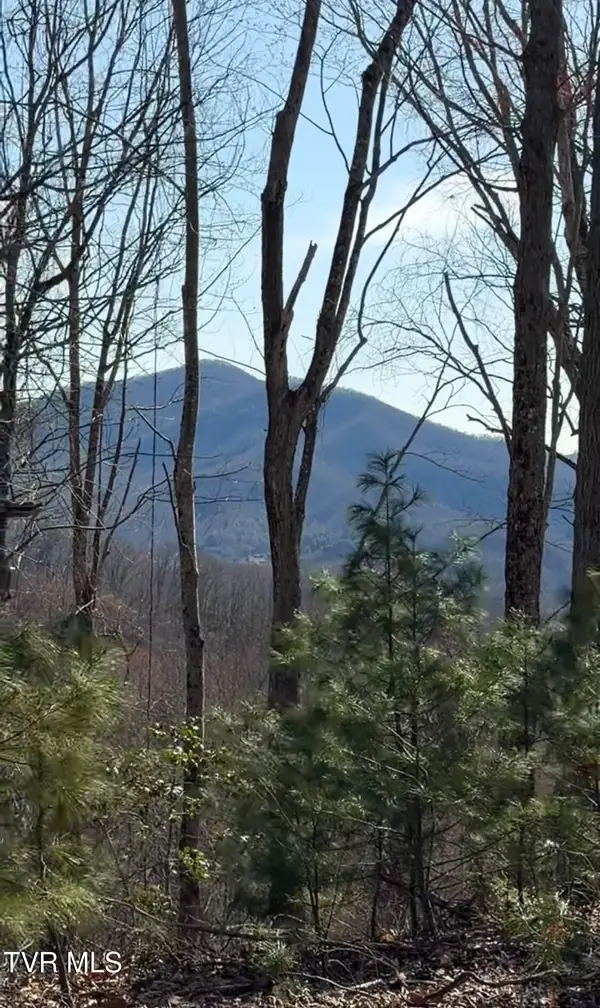 Tbd Heaton Branch Road, Butler, TN 37640