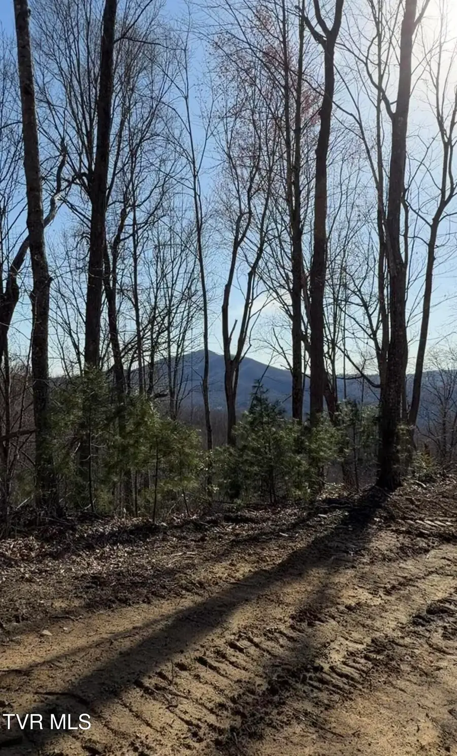 Tbd Heaton Branch Road, Butler, TN 37640 - #2