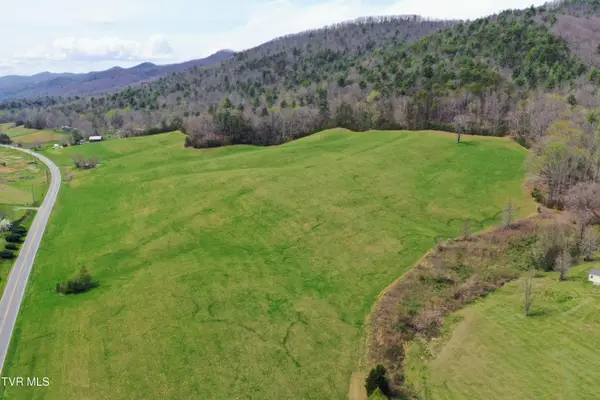 17/Ac Tbd Houston Valley Tract 1b Road, Greeneville, TN 37743