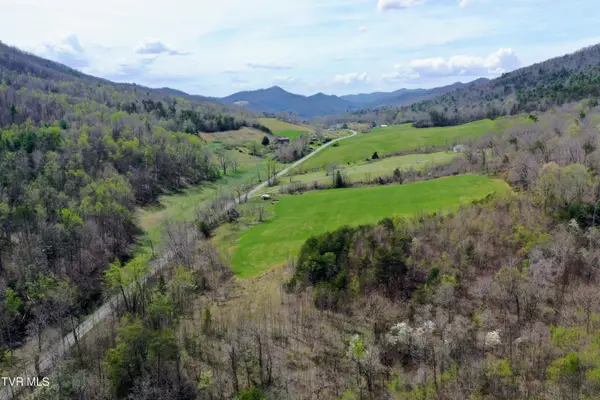 21/Ac Tbd Houston Valley Tract 3a Road, Greeneville, TN 37743