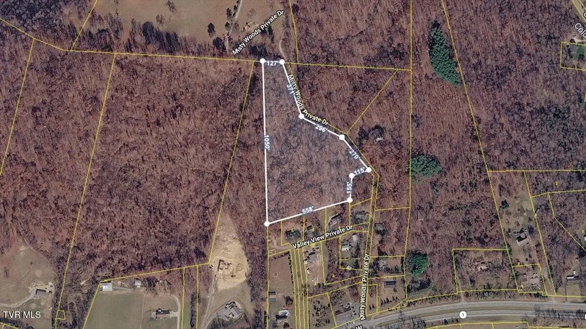 120 Misty Woods Private Drive, Blountville, TN 37617 - #1