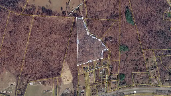 120 Misty Woods Private Drive, Blountville, TN 37617