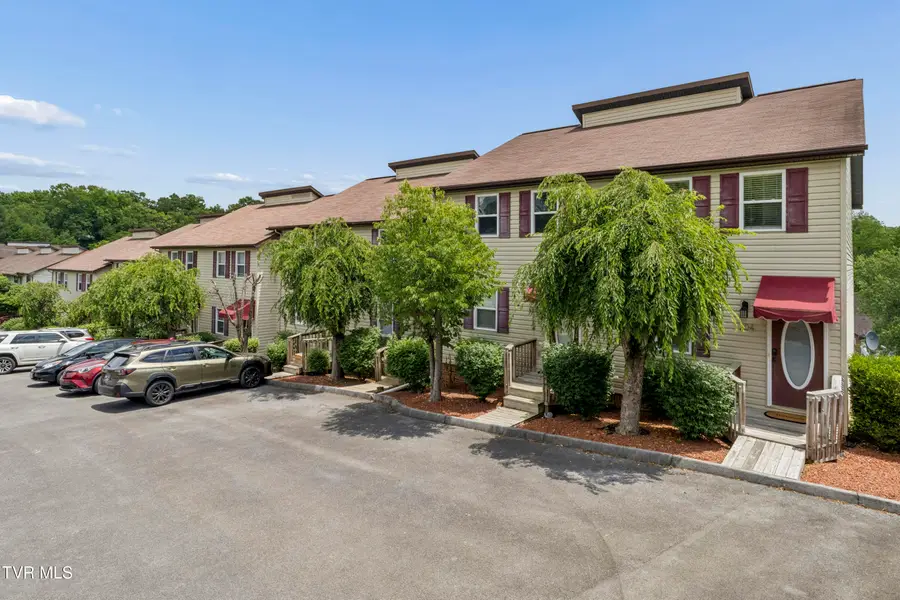 204 Gray Station Road #204, Johnson City, TN 37615 - #3