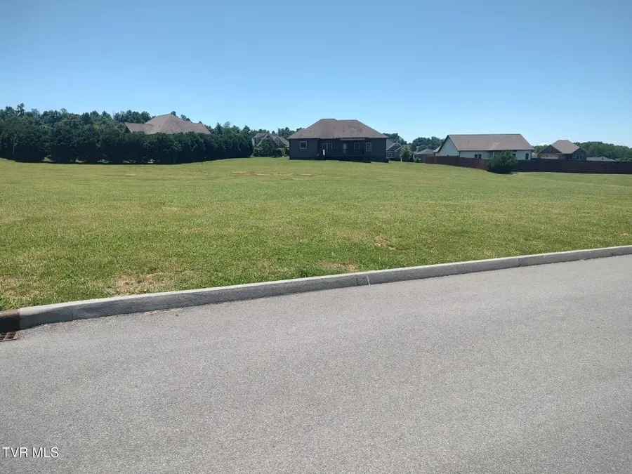 636 Brady Way, Jonesborough, TN 37659 - #3