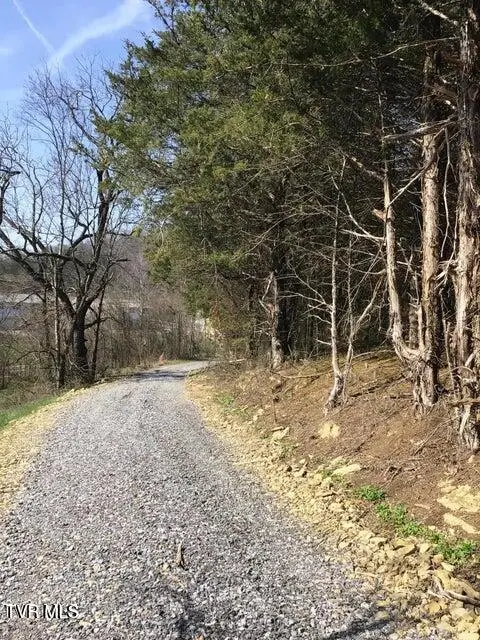 8.24 Ac West Andrew Johnson, Bulls Gap, TN 37711