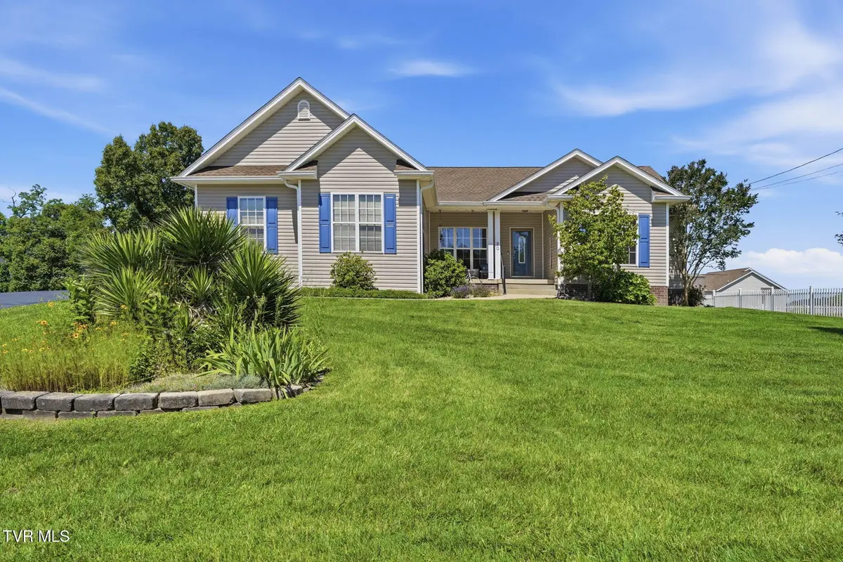 20 Vesta Sue Court, Jonesborough, TN 37659 - #1