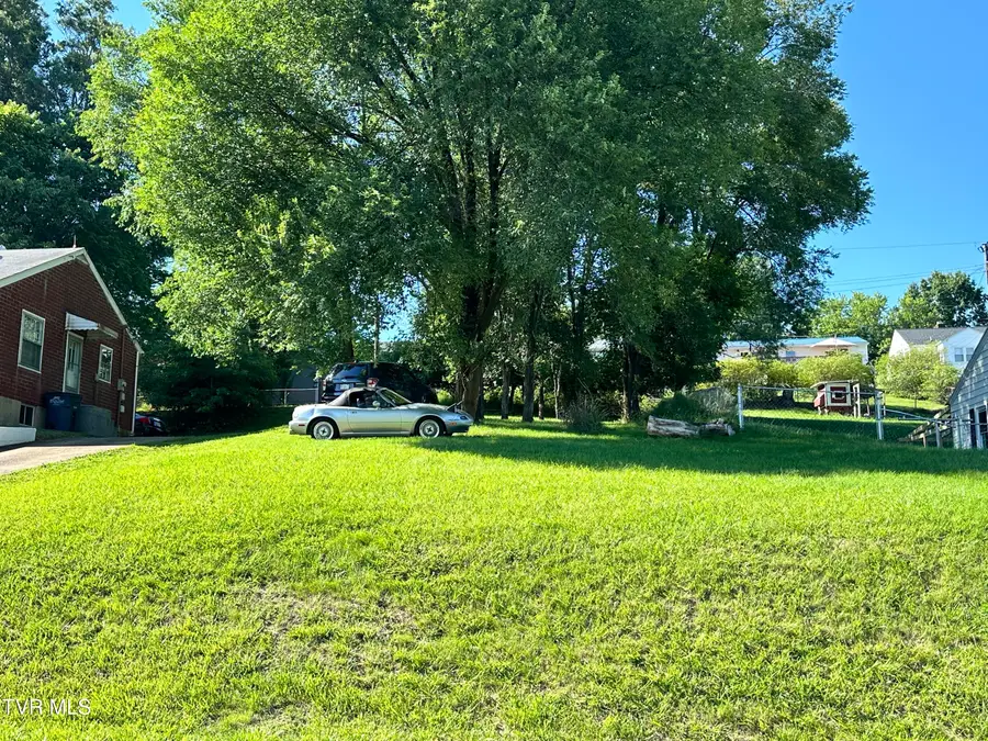 Tbd Mullins Street, Kingsport, TN 37665 - #2