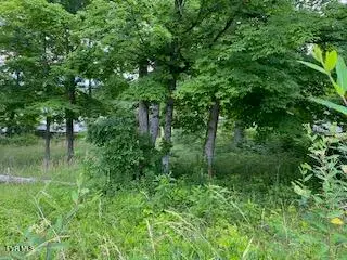 0047 Wild Rose Lane, Johnson City, TN 37601 - #1