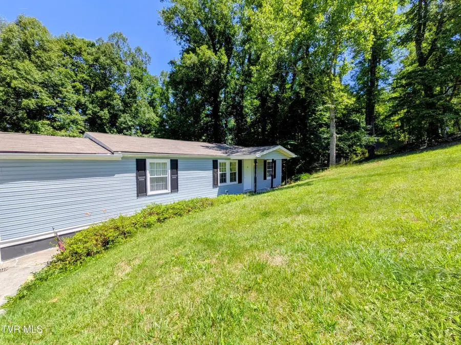 128 Holly Hills Road, Jonesborough, TN 37659 - #3