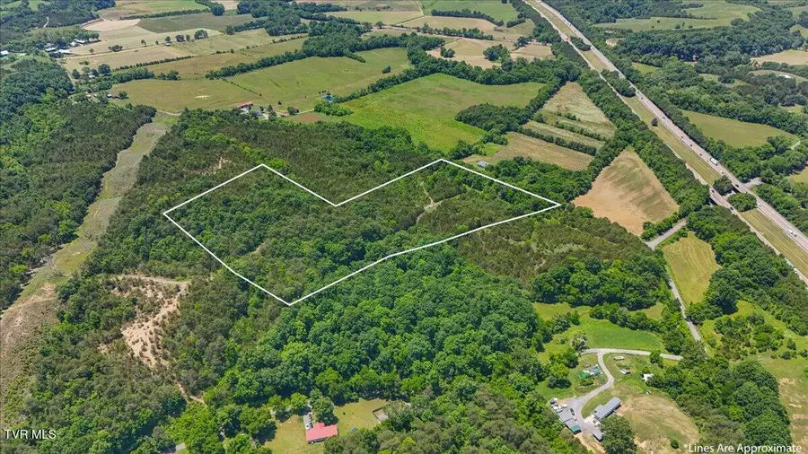 5441 Fred Marshall Road, Russellville, TN 37860 - #3