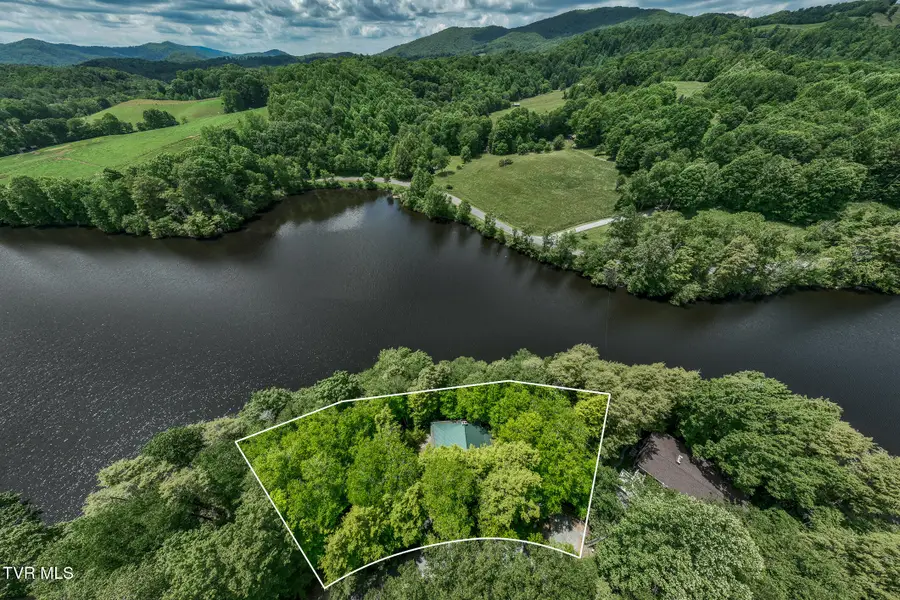 206 Ripshin Lake Road, Roan Mountain, TN 37687 - #2