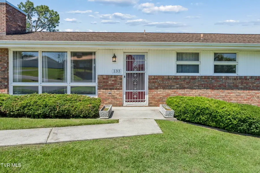133 Rosefield Drive, Kingsport, TN 37660 - #2
