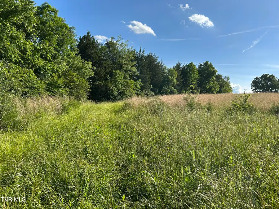 0 0 Old Highway 70 Road, Rogersville, TN 37857 - #3