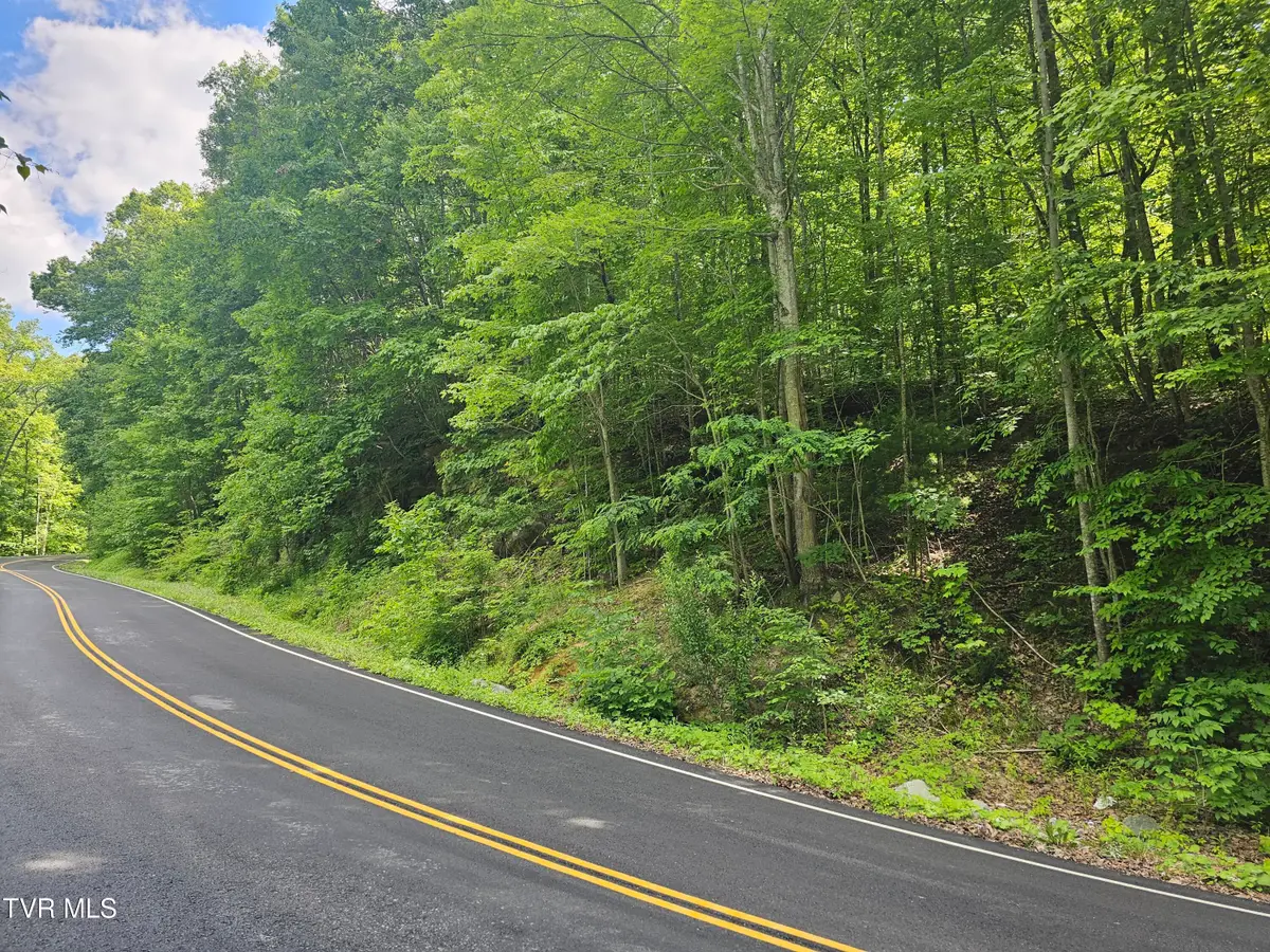 Tbd Indian Creek Road, Wise, VA 24293 - #1