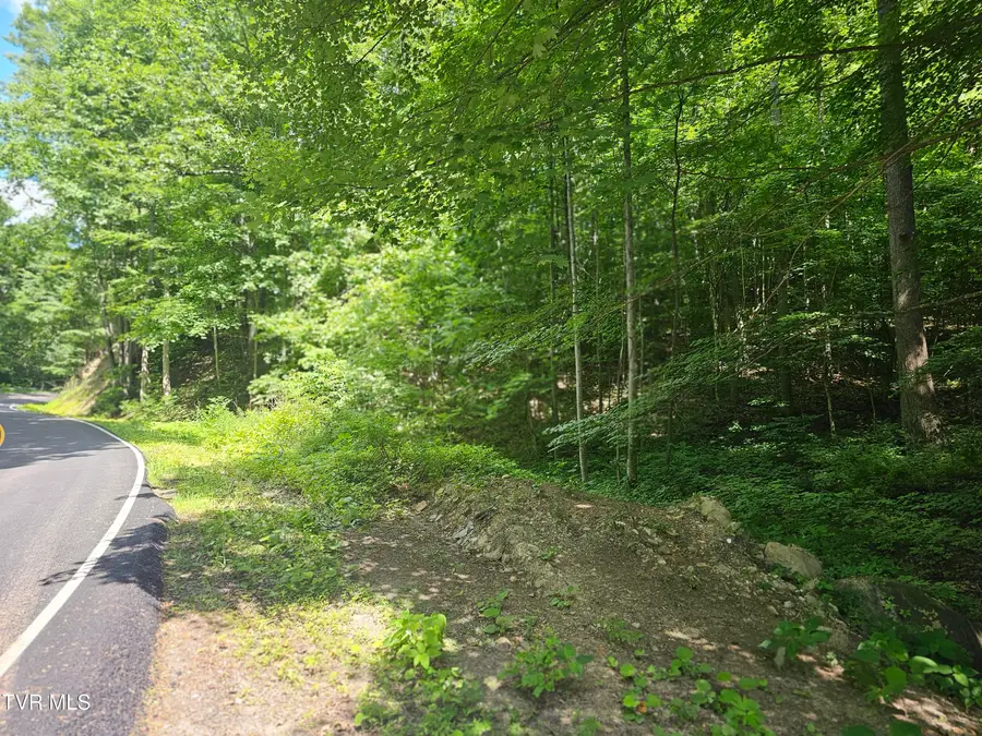 Tbd Indian Creek Road, Wise, VA 24293 - #3