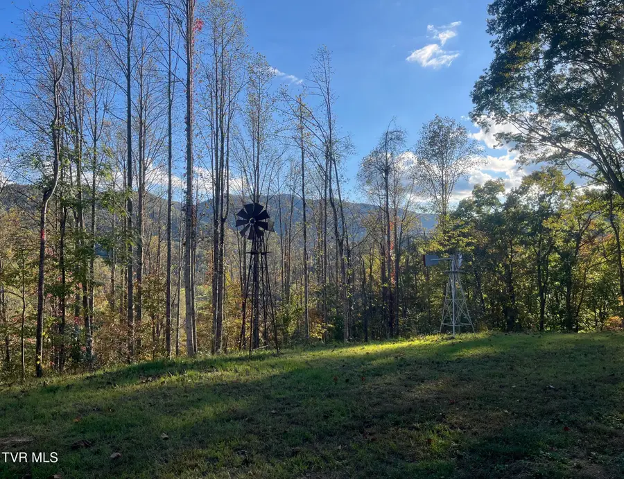 1575 Rice Creek Road, Flag Pond, TN 37657 - #3