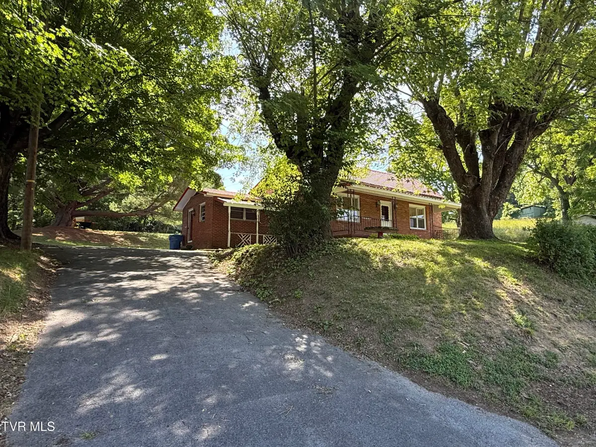 401 Spring Street, Jonesborough, TN 37659 - #1