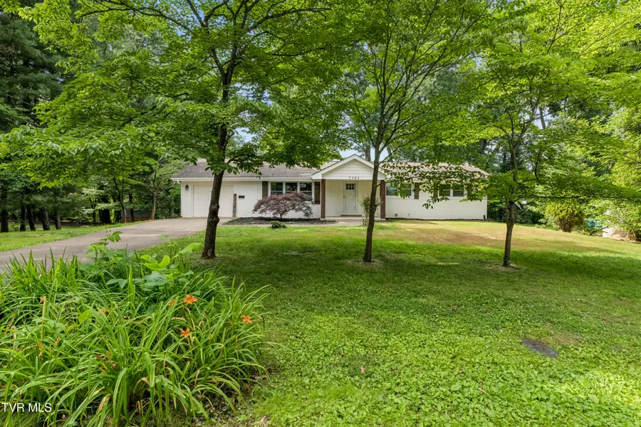 1303 Peterson Place, Johnson City, TN 37601 - #2