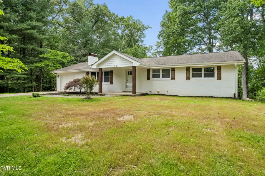 1303 Peterson Place, Johnson City, TN 37601 - #3