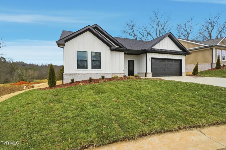 337 Ty's Place, Kingsport, TN 37663 - #2