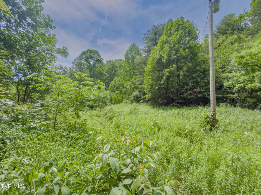 807 Wyatt Hollow Road, Bristol, TN 37620 - #3