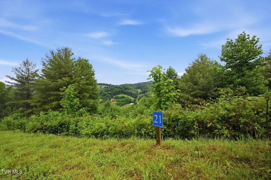 Lot 21 Eagle Ridge Parkway, Butler, TN 37640 - #3