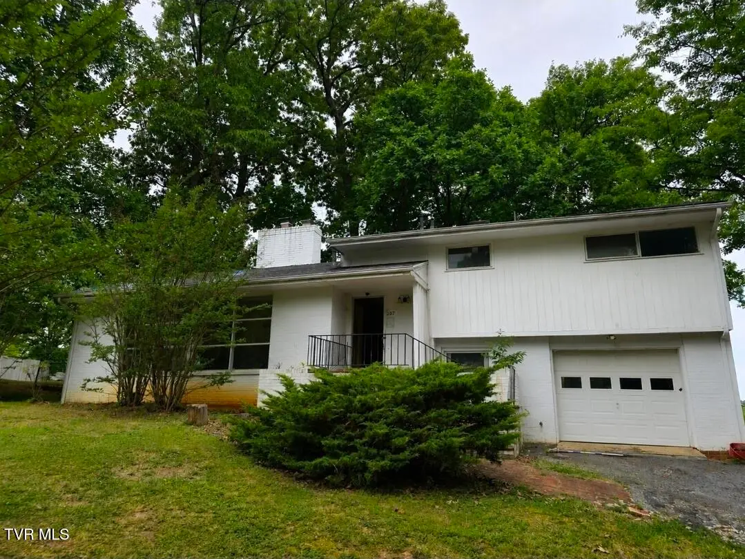 207 Rankin Drive, Greeneville, TN 37745 - #1
