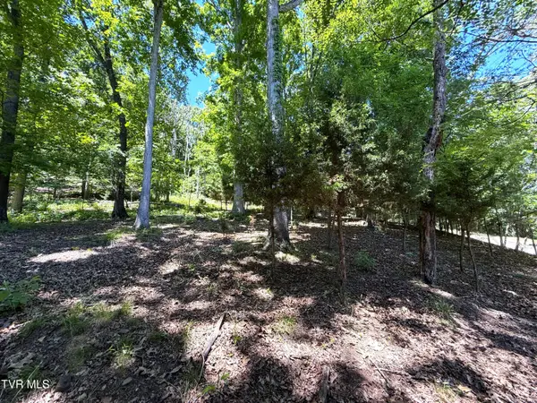 0 Harbor View #214, Mooresburg, TN 37811