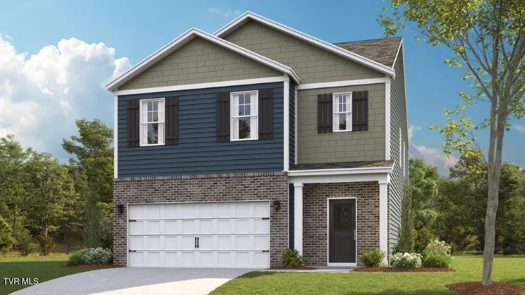 305 Chimney View Loop, Blountville, TN 37617 - #1