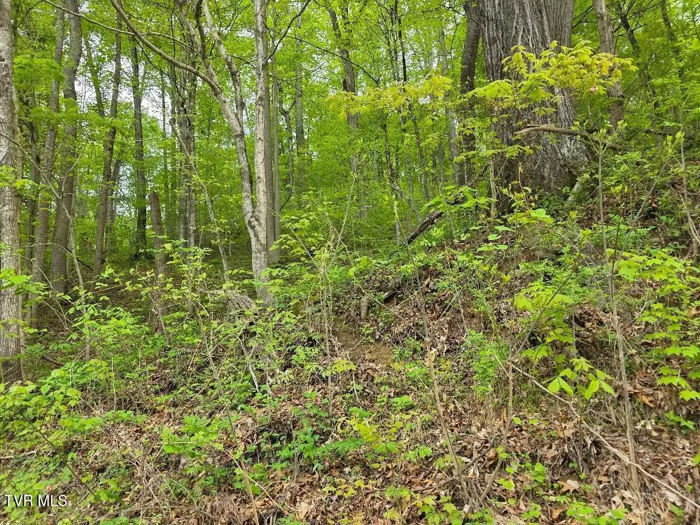 Tbd Garrison Hollow, Elizabethton, TN 37643 - #1