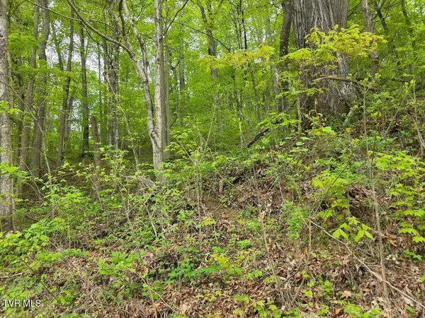 Tbd Garrison Hollow, Elizabethton, TN 37643