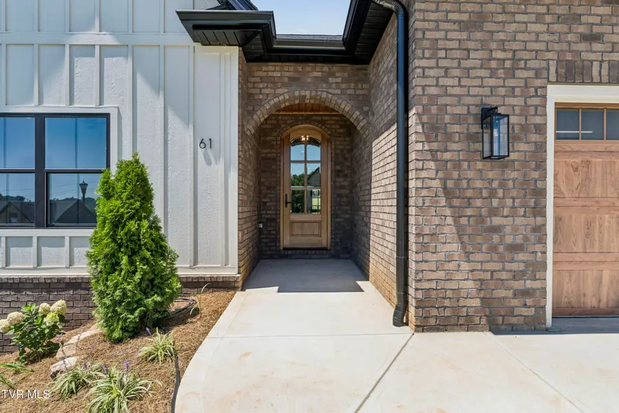 61 Glaze Farm Way, Johnson City, TN 37601 - #3