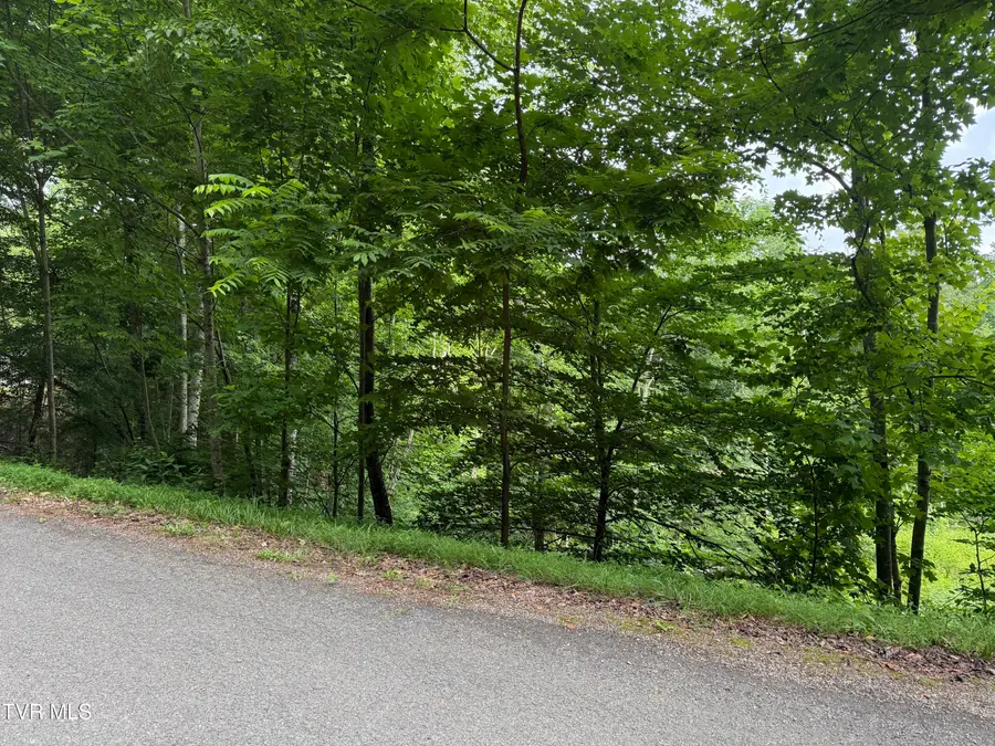 Tbd Rhea Lane, Mountain City, TN 37683 - #2